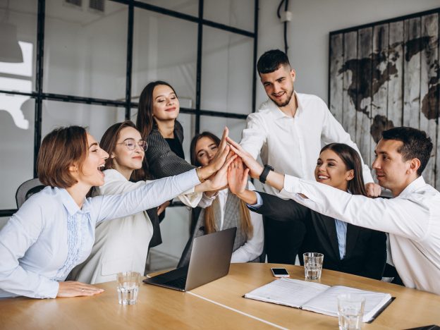 Employeeship: Mobilising everyone's energy to win course image