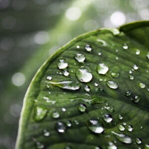 CMC webinar: Kreativnost ali znanje. Kaj potrebuje današnji vodja v timu za ustvarjanje odličnosti?