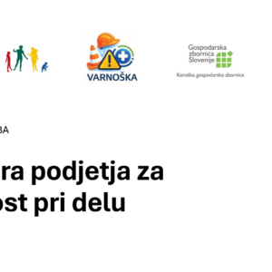 Varnoška: Kultura podjetja za varnost pri delu